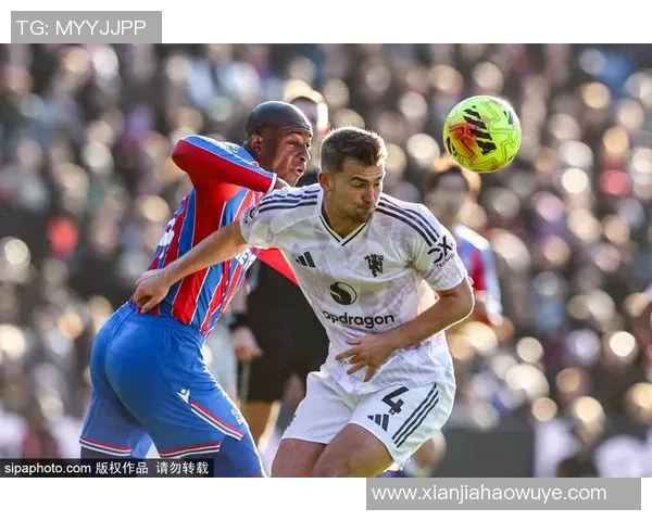 TES在世界冠军杯中的实力展现与战术分析深度点评