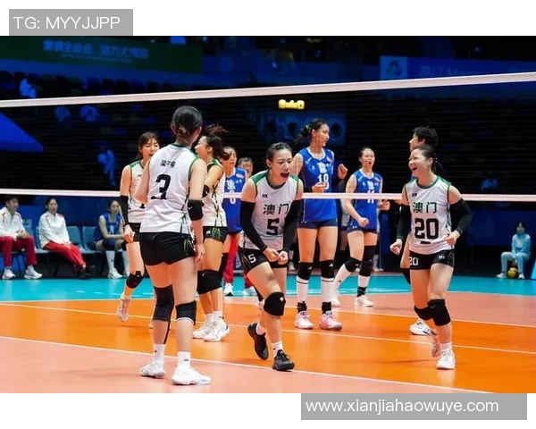 北京排球队的奋斗历程与荣耀时刻全景纪实