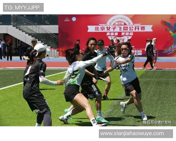 北京飞盘队运营模式创新探索助力团队发展与竞技水平提升