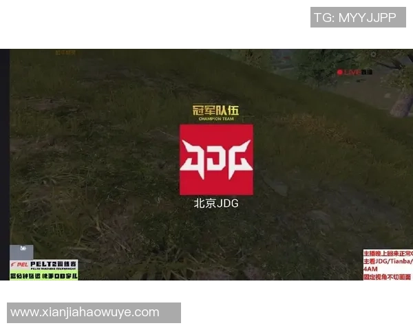 和平精英赛事分析：深入探讨JDG战队的比赛经验与策略分享