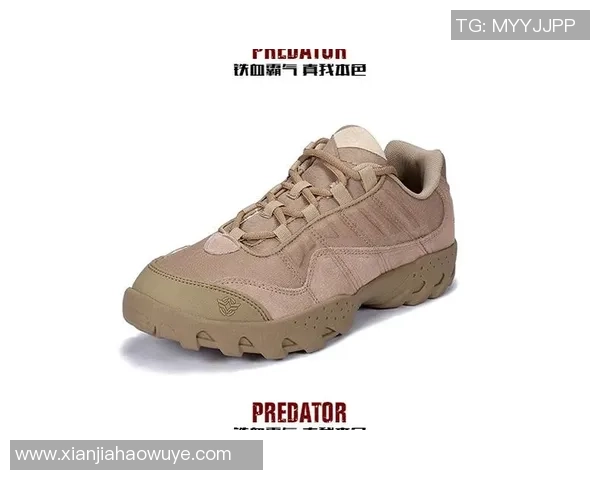 杭州攀岩队中路突破战术解析与实战应用探讨 杭州攀岩队中路突破战术解析与实战应用探讨