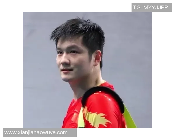 武汉乒乓球队的力量揭秘：乒乓球巨献背后的故事与精神